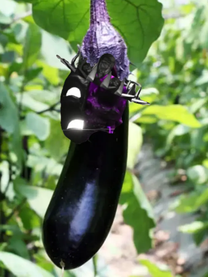 DirtyWall4049의 그녀들과 동거