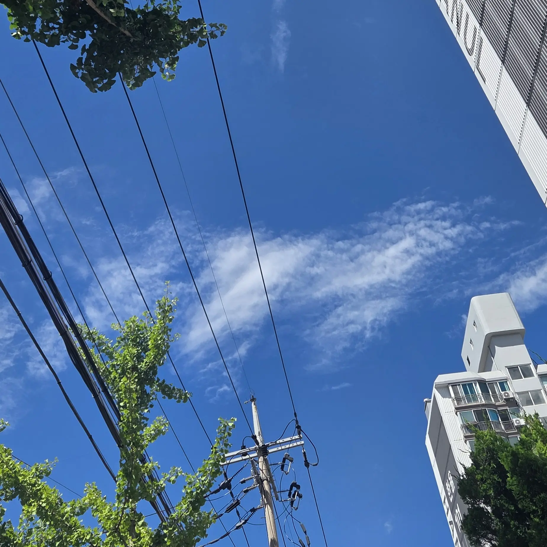 MatureMedal5761의 꿈뜰학교 시리즈-담임선생님의 편애