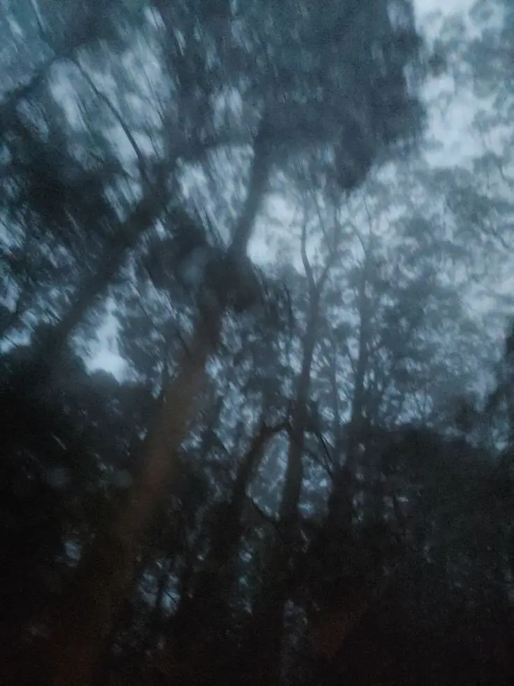 CrispyFloor3702의 初めて一目惚れをした日。