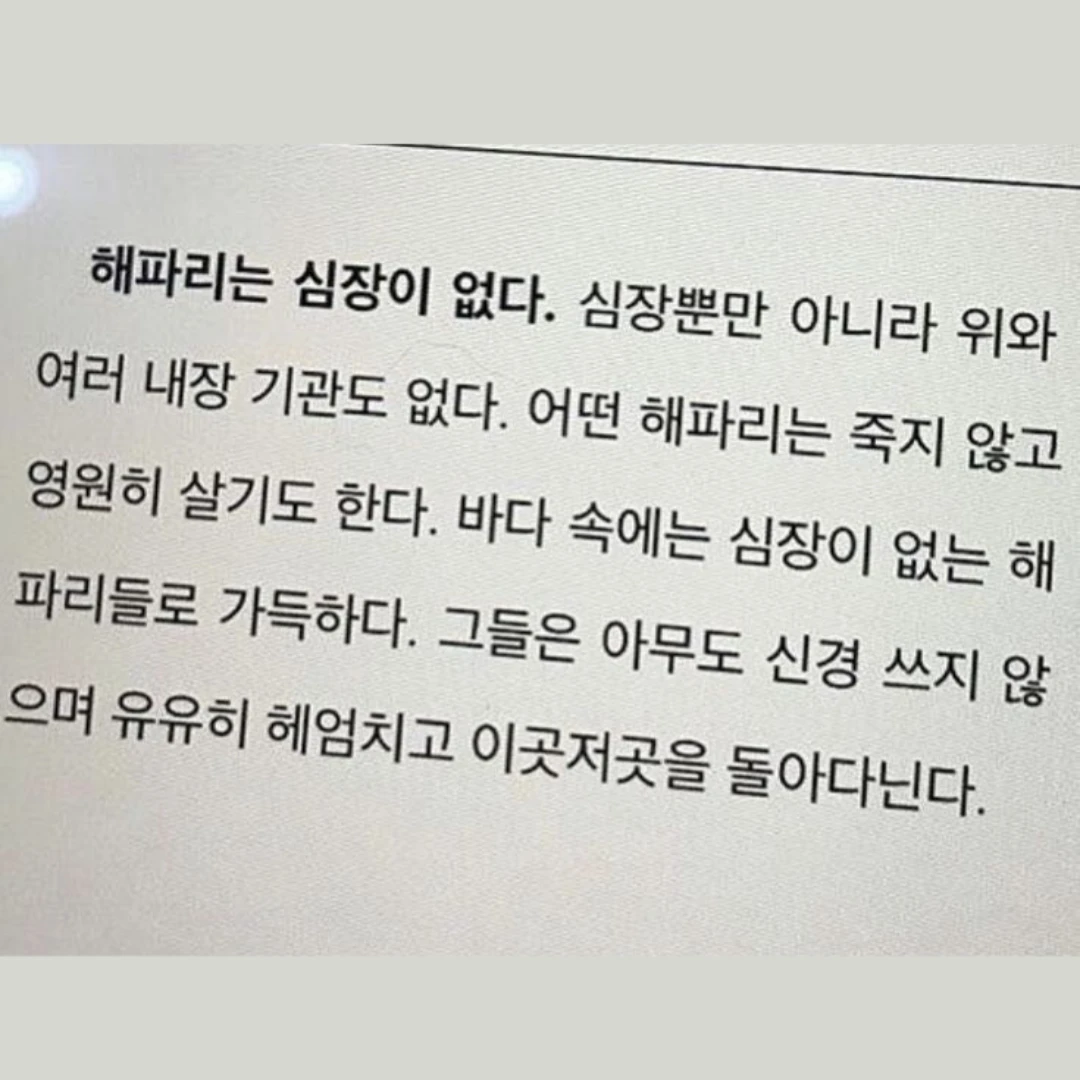 사랑하고싶어.