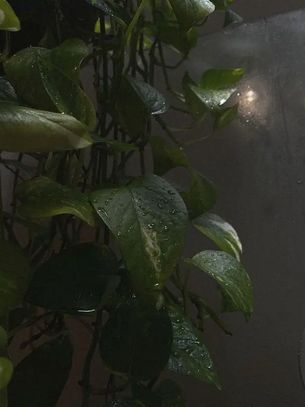 XXEIXION의 ㅤㅤ