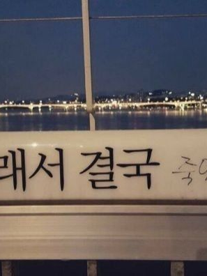 정형준×김일영 대표 이미지