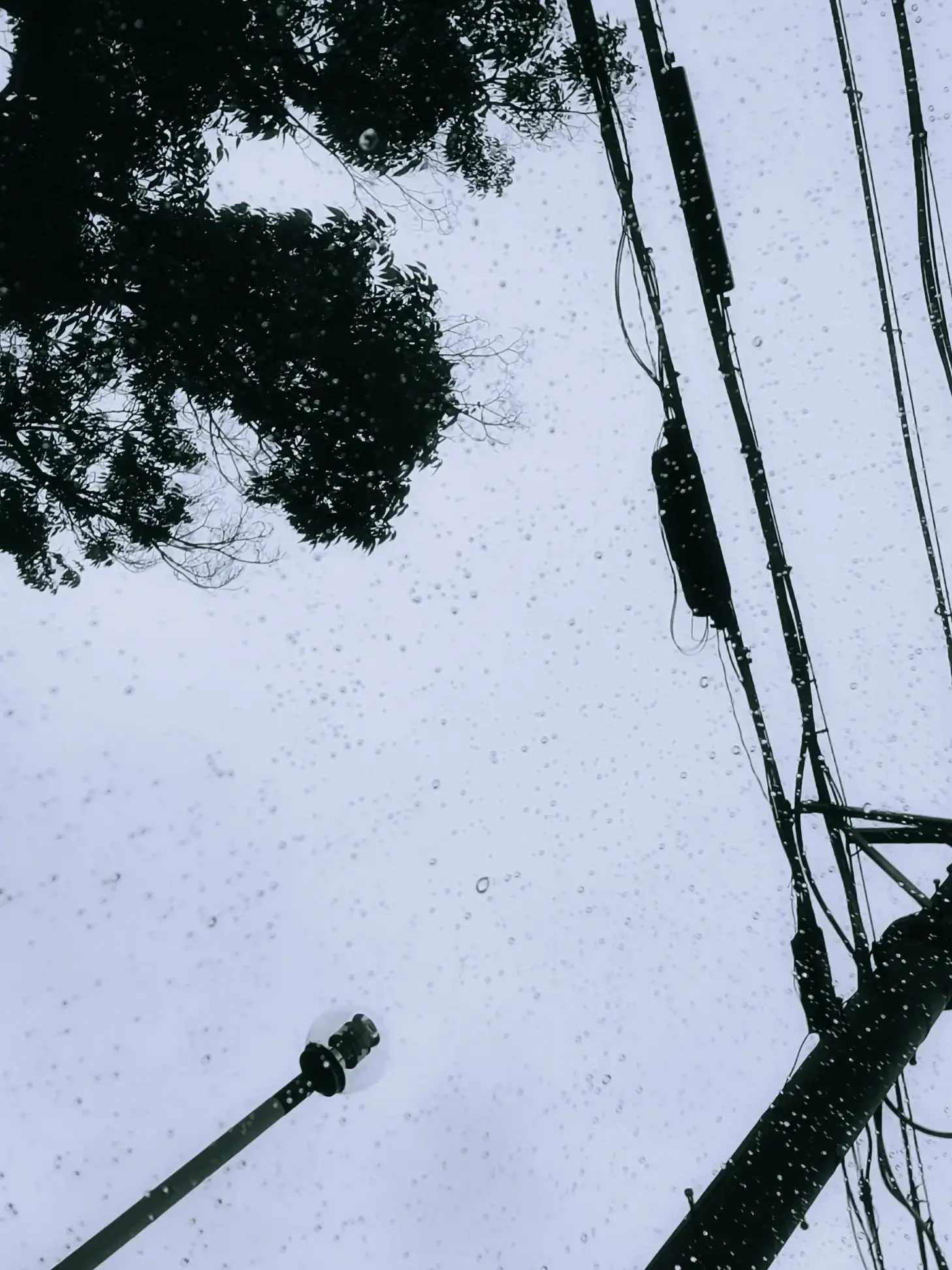 rh10200703의 貴方だけのパパ