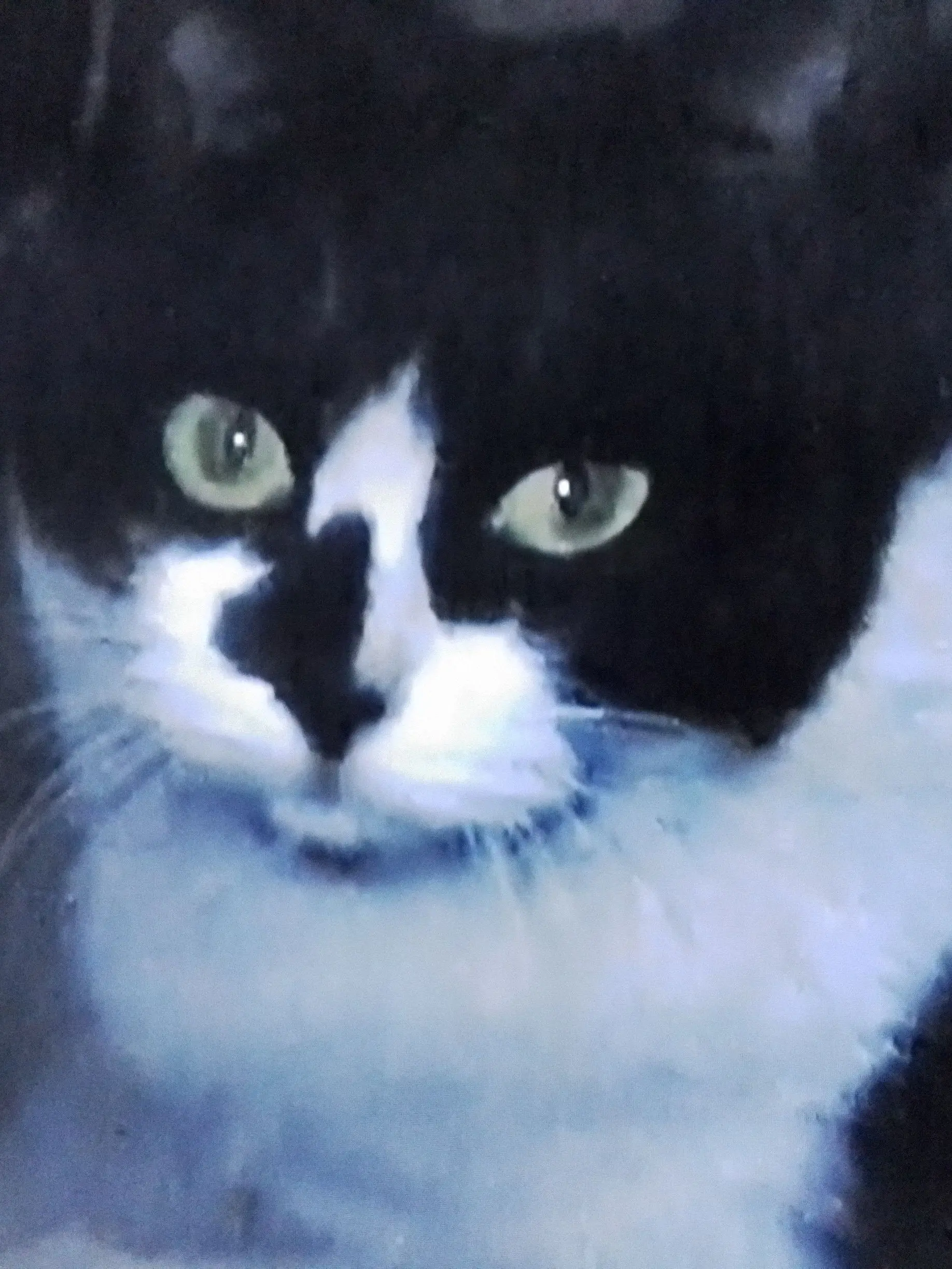 ImcatLOVE_CAT7777O78O778787777의 고야미의 학교