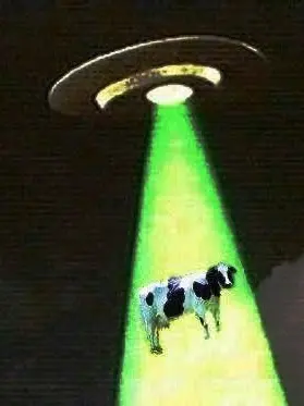 CaCn1의 Alien