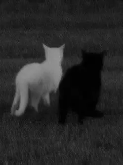 cheese_402i의 만날걸 알아