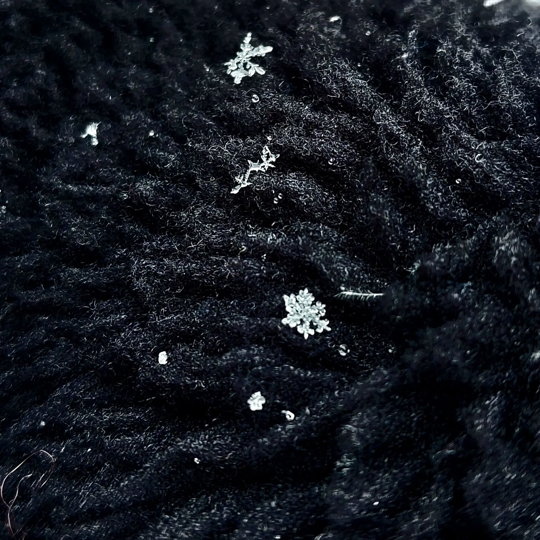 FineMoth0618의 환생 (사심용)