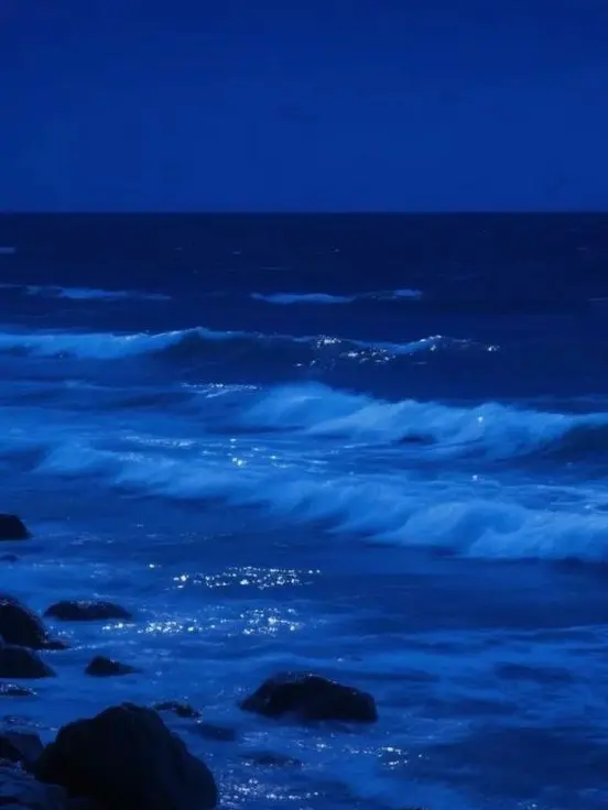 tard0x의 죽여도 내가 죽여.