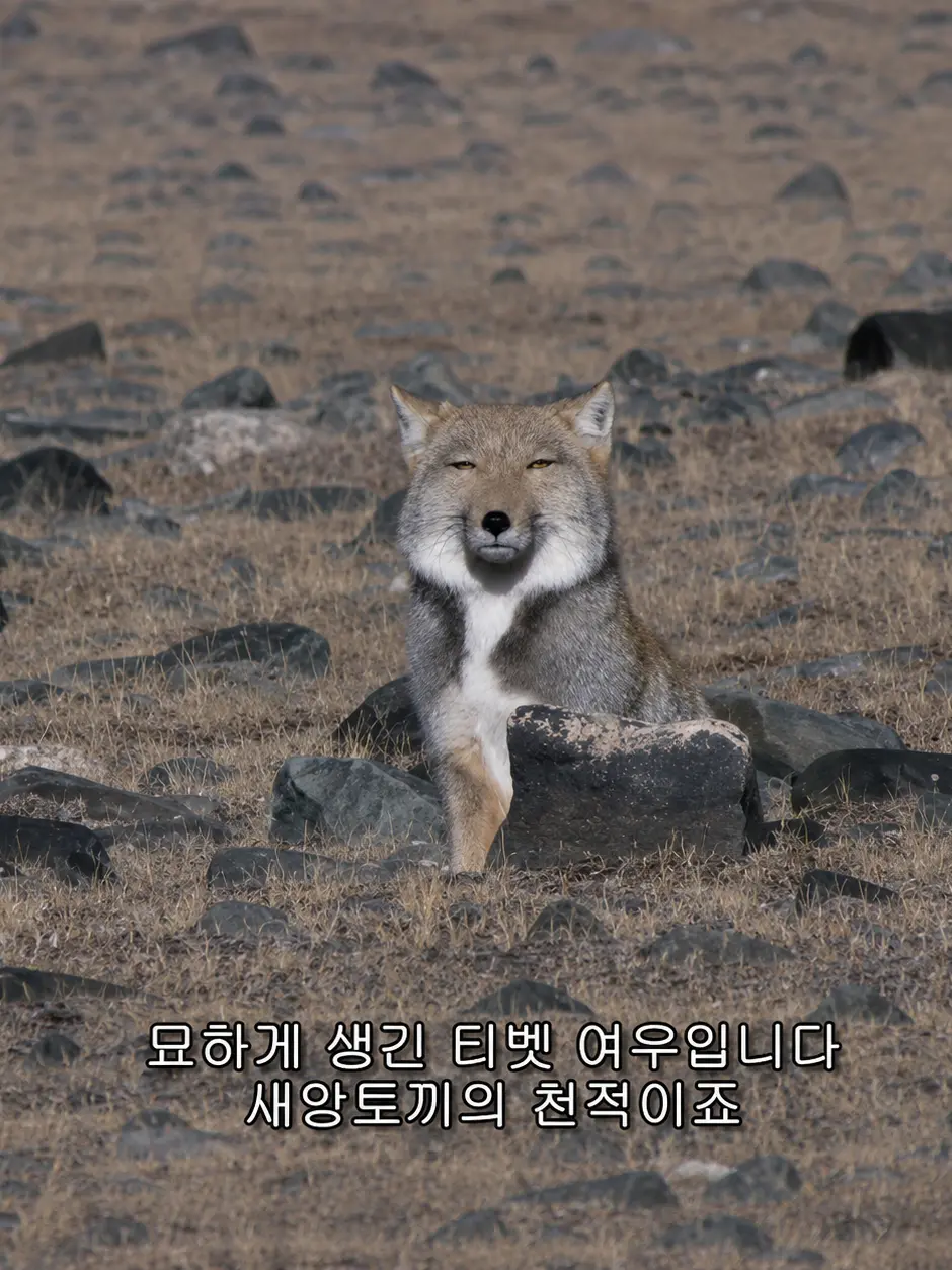 NanMonn01의 신청 받습니다