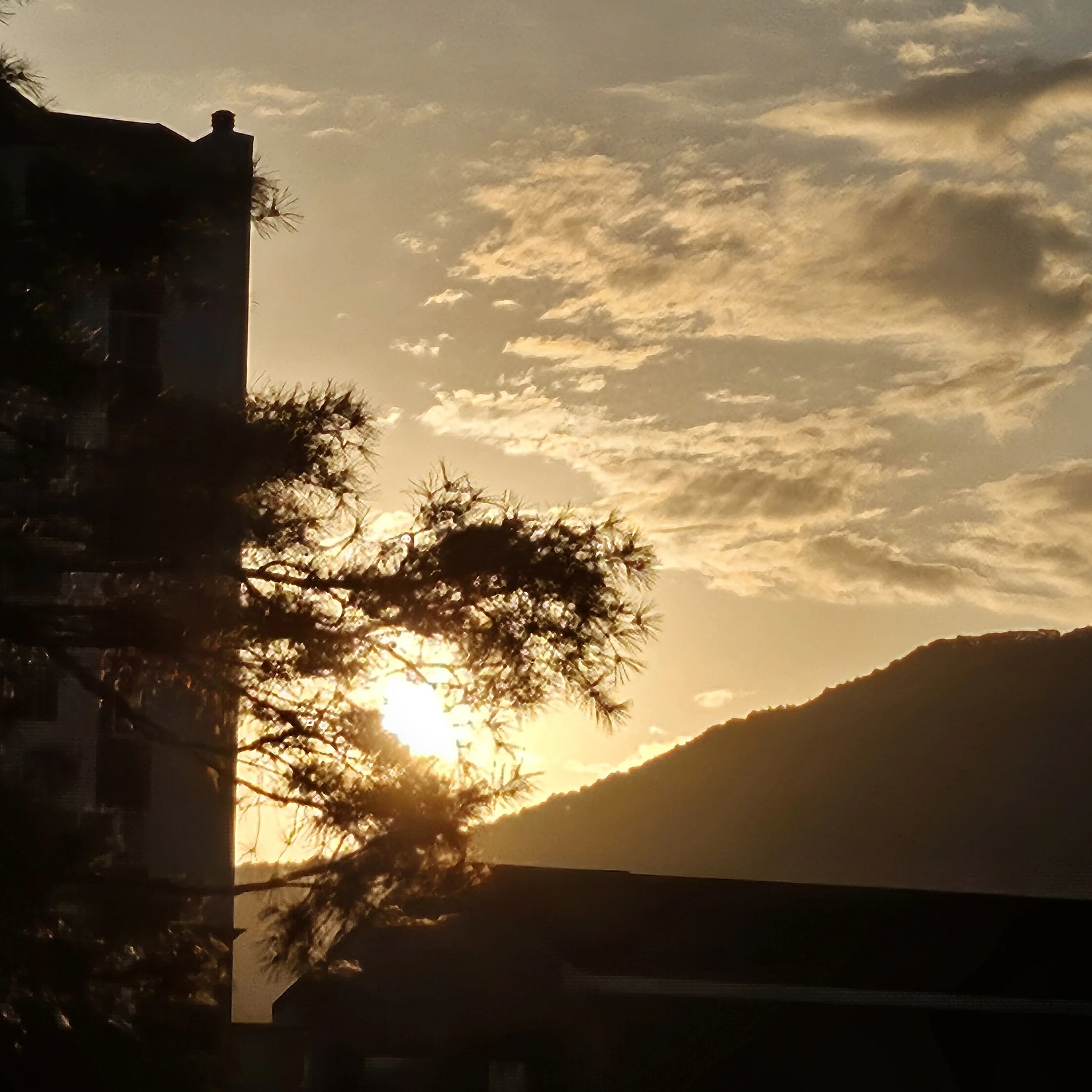 히나타 쇼요. 日向翔陽。