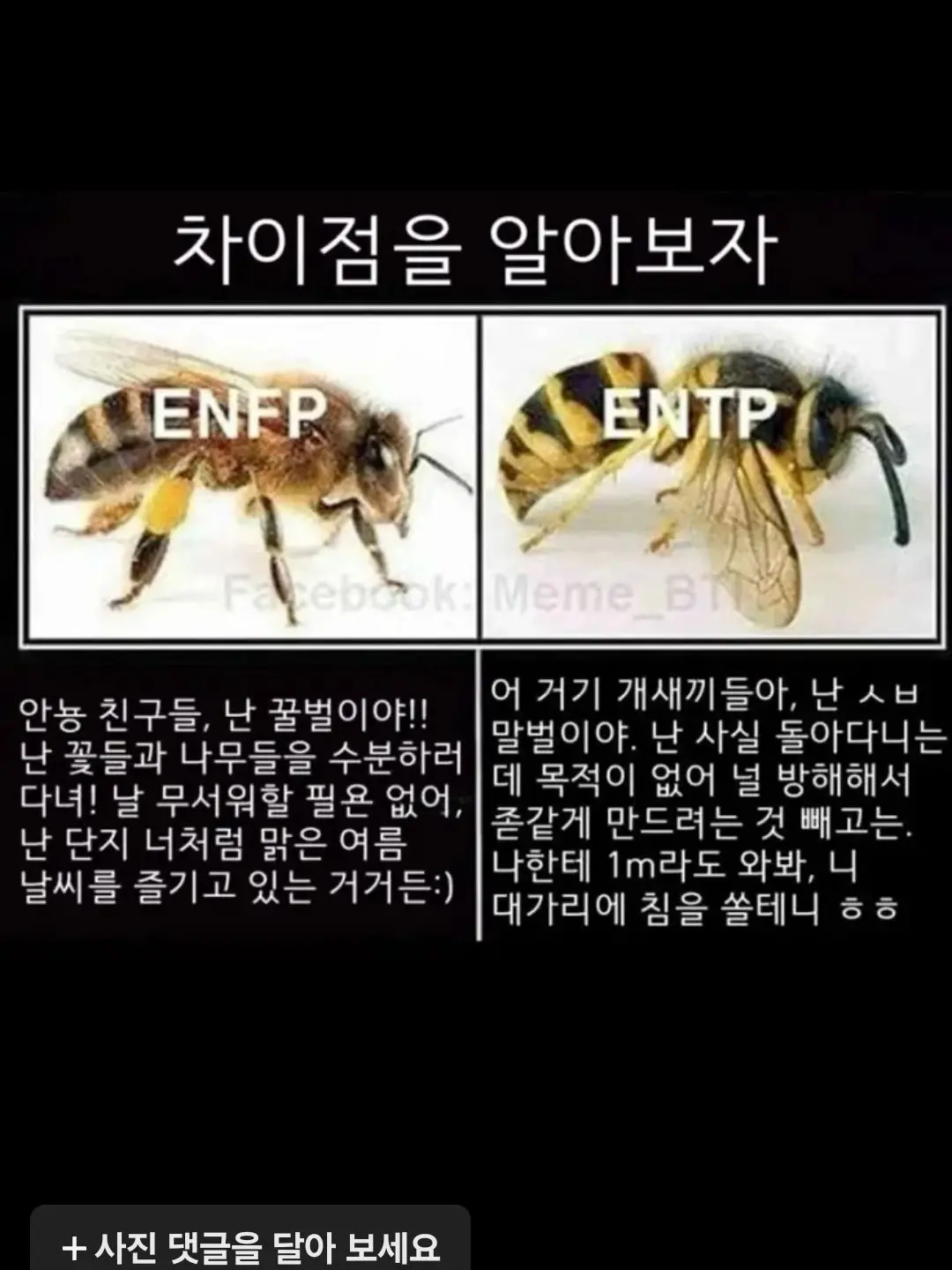 JaggedStraw0925의 우사비치