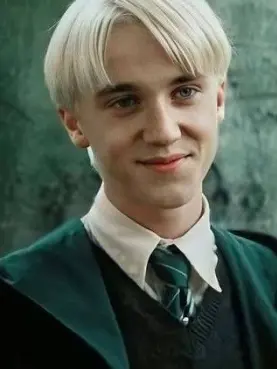 HugeEmmaWatsonFAN의 Draco Lucius Malfoy ✨PaRiS✨