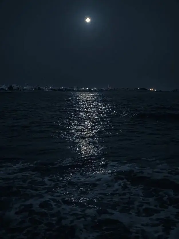 lemonloser의 To dream