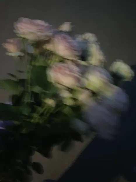 Paradise_001의 magic .