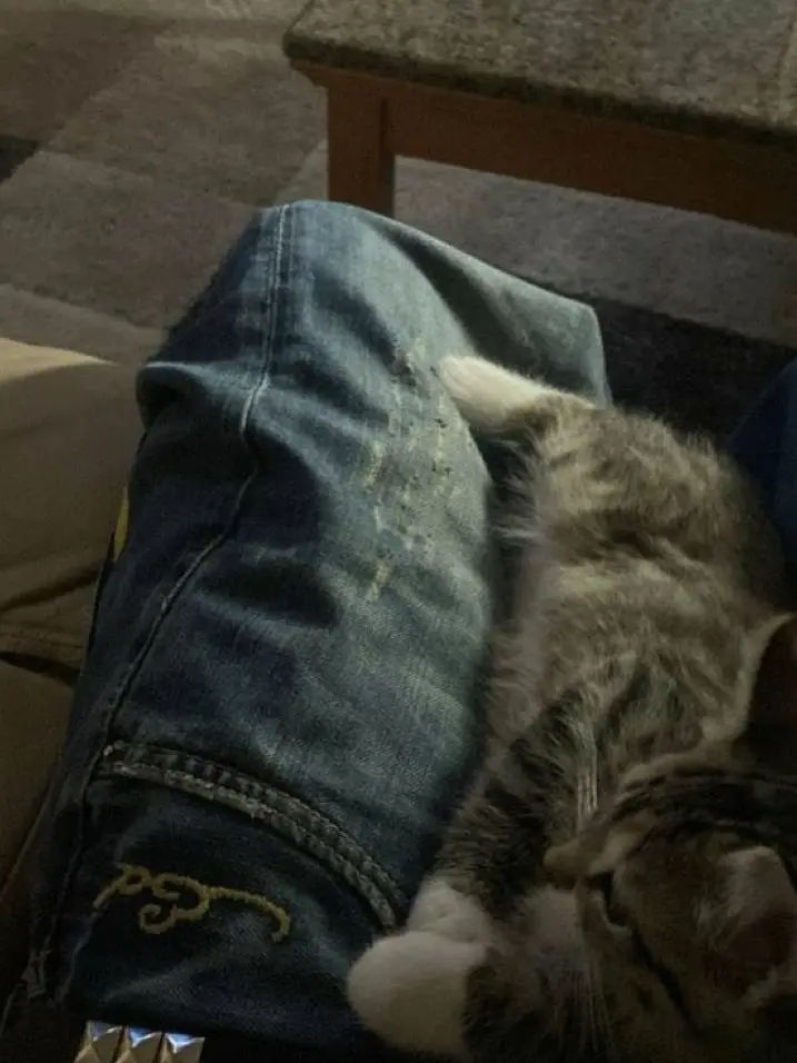 Adamakesyouflatter의 Your owner