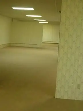 QuirkyLime3035의 Team Sonic in the backrooms