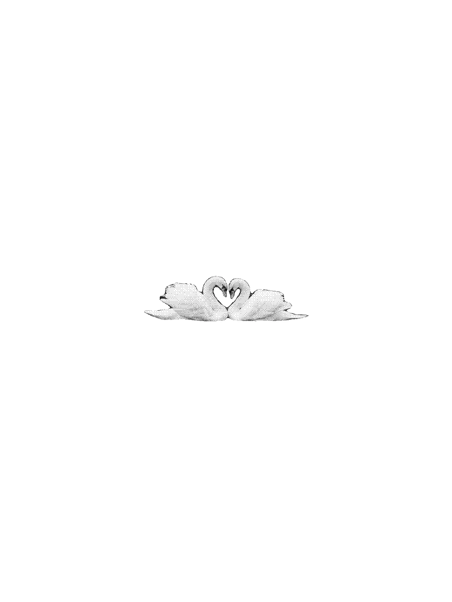 L_choi.의 ㅤ