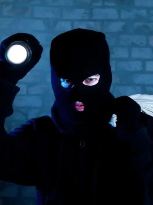 Dededede의 Burglar