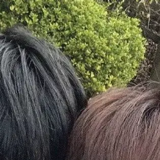 beomgyusonhoWonhi의 うんめいず