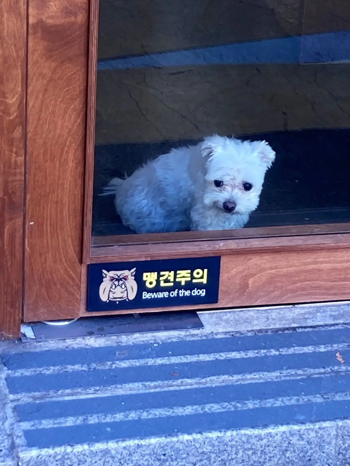 whatswrongwithme의 Beware of Dog!