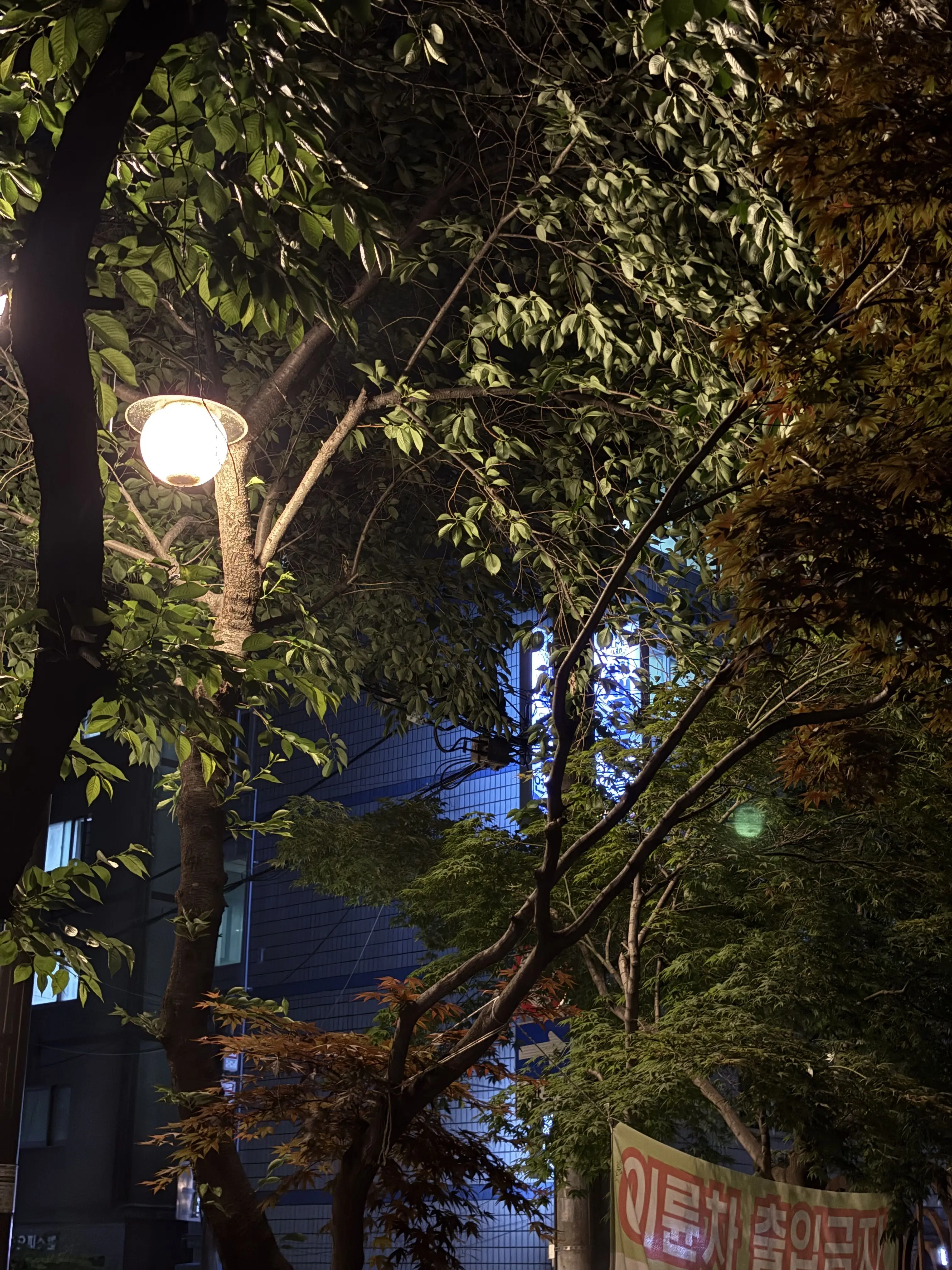 HappyFog3870의 자유세계관 입니다.