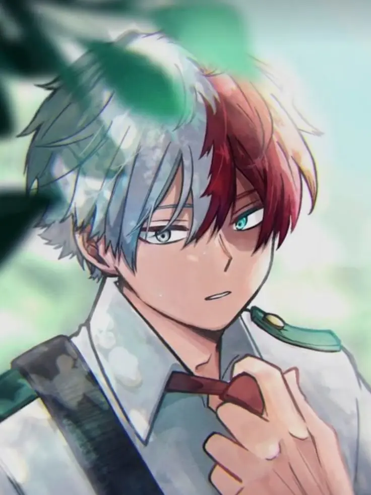 Novachanz의 Shoto Todoroki