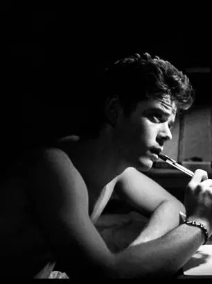 flamefx의 PONYBOY CURTIS