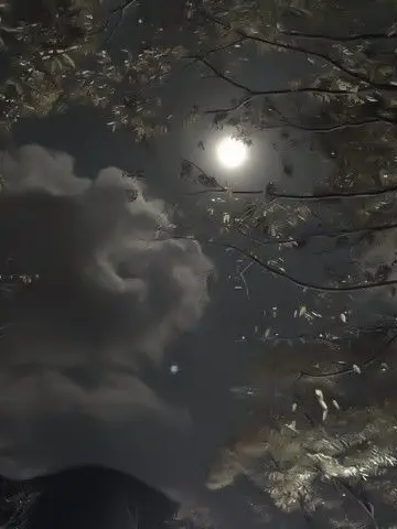 9632_dng의 後輩⑦