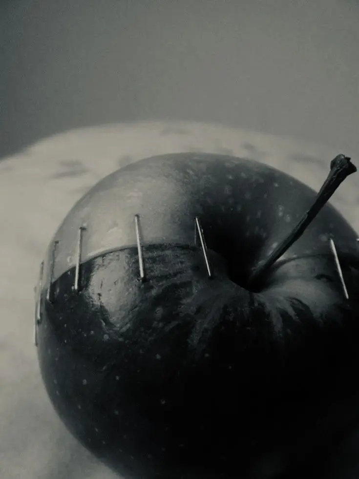 Kvhwkdrp의 ጎሠቿዪነëፕነሁክኗነቻቿዘረቿዪ