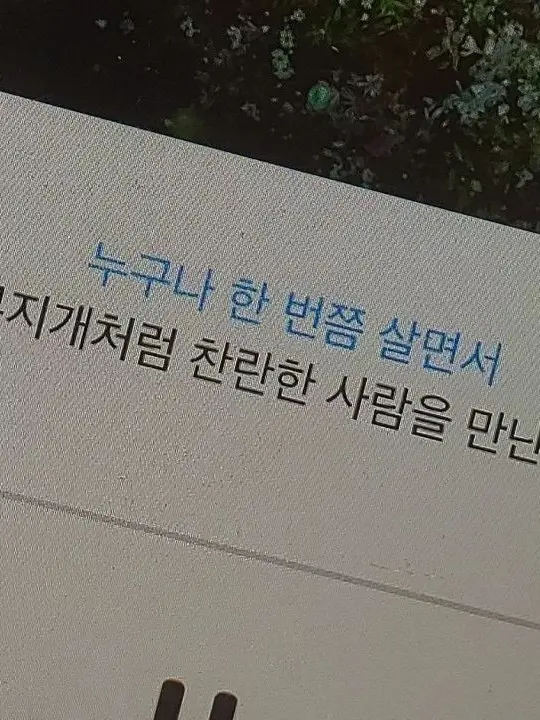 Pixelly의 유기사