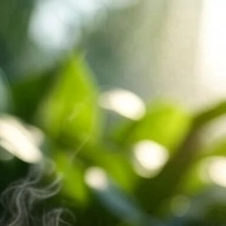 思春期な弟アーサーに教えてあげよう