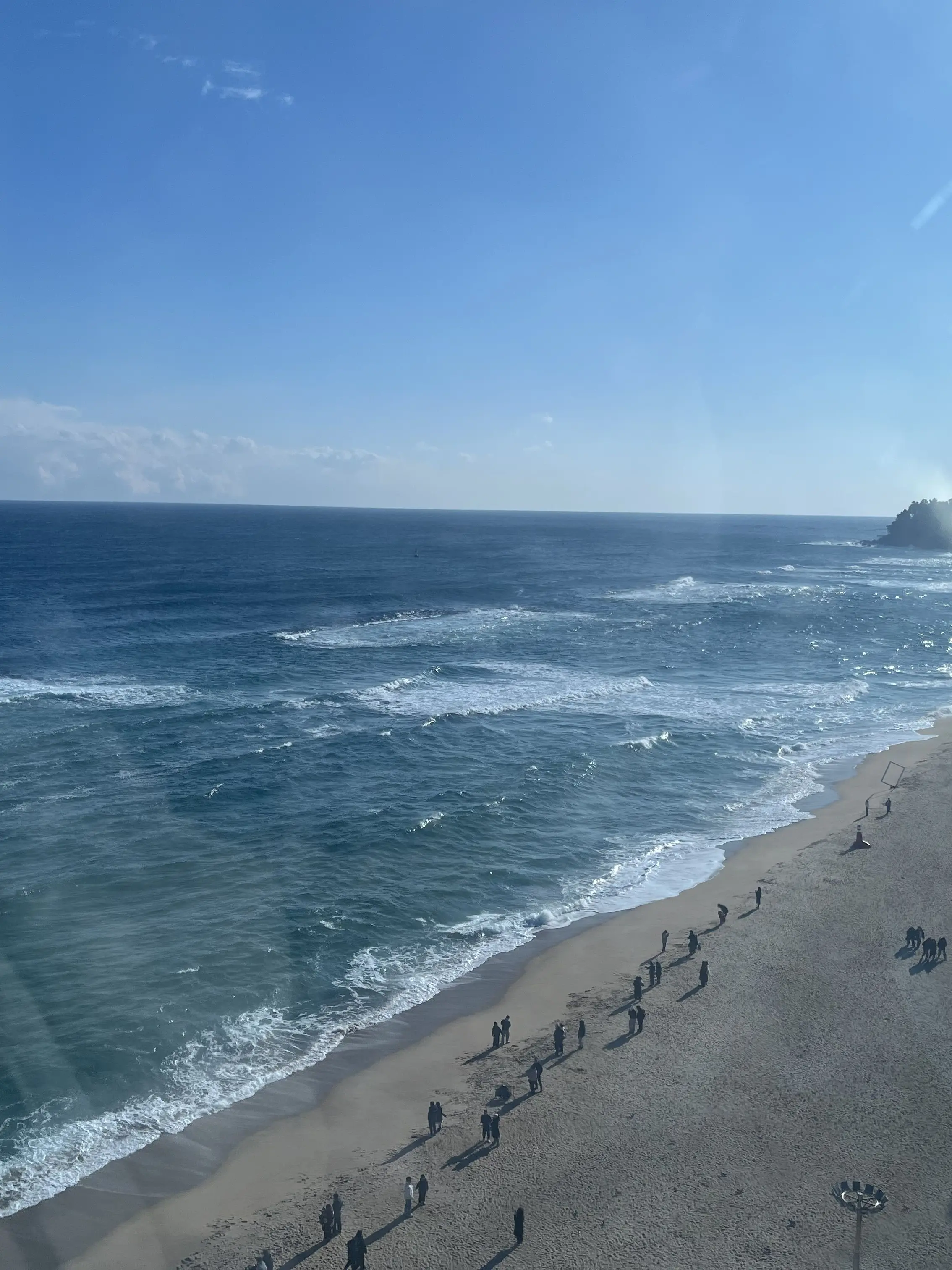 OpenTooth8235의 의인화된 꽃들과 놀아보세요!