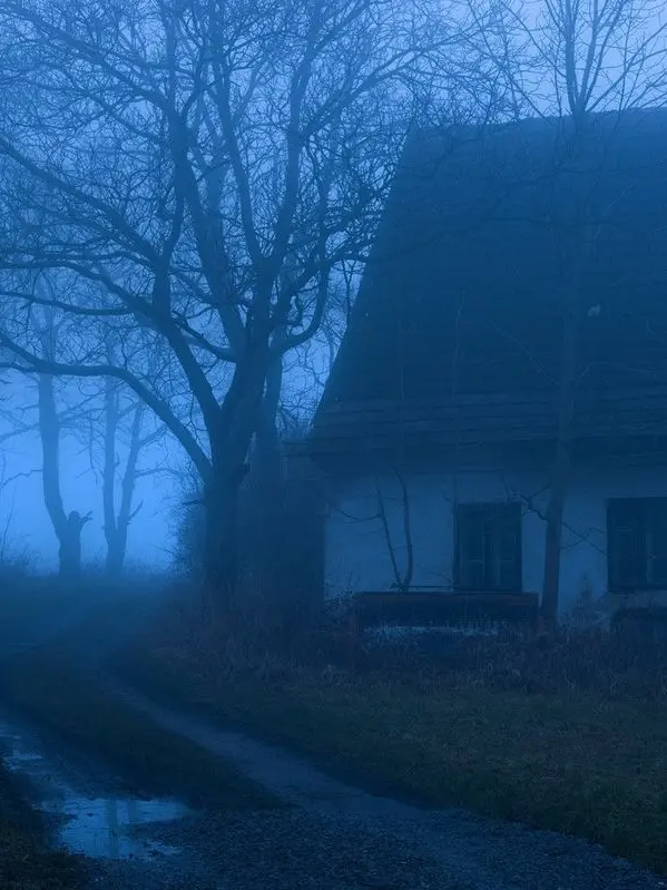 DoughyChime6892의 Slaughterhouse