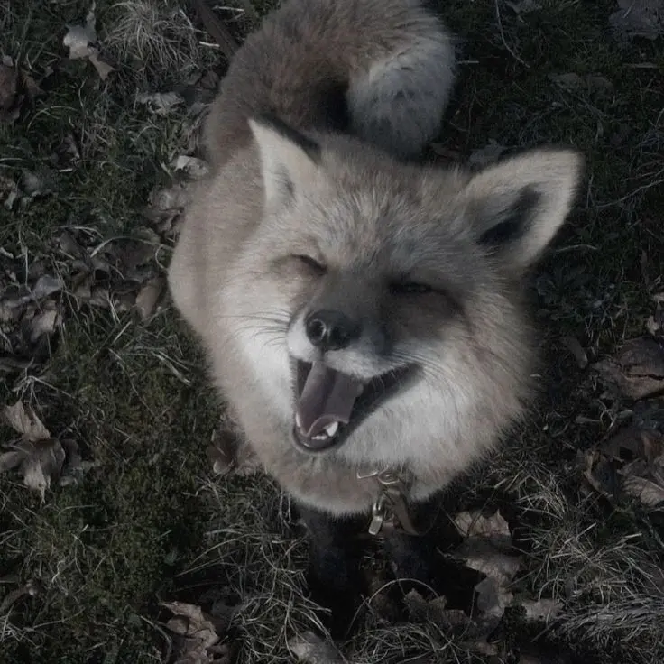 rose136p의 우리 곁을 떠나지마