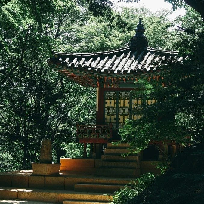 간택된 신부⭐ / 🦖