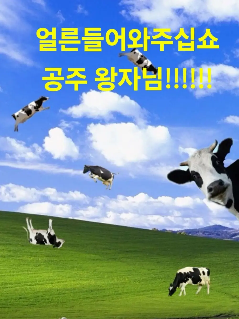 20260H7l의 철벽뚫는남자얘들