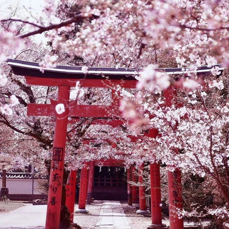 千本桜