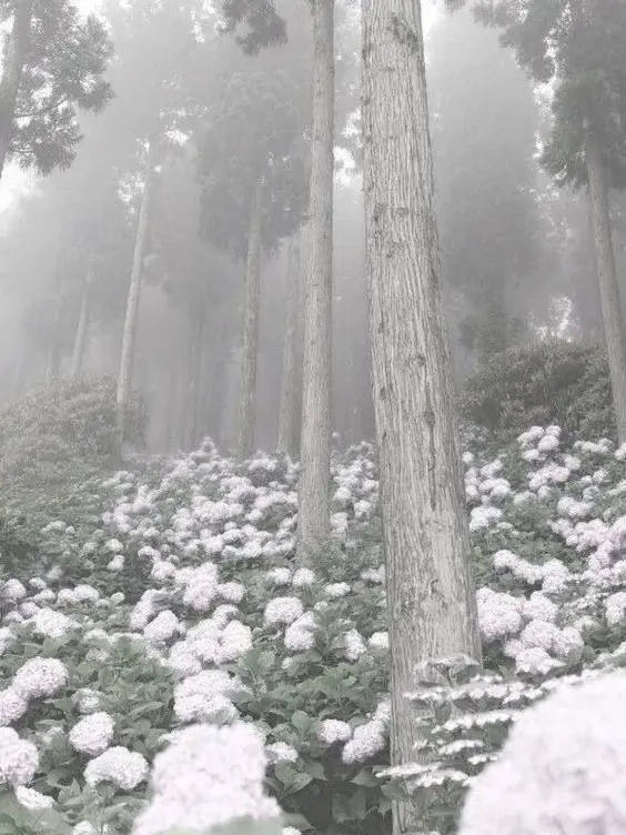 Eeeeeing0506의 神隠し