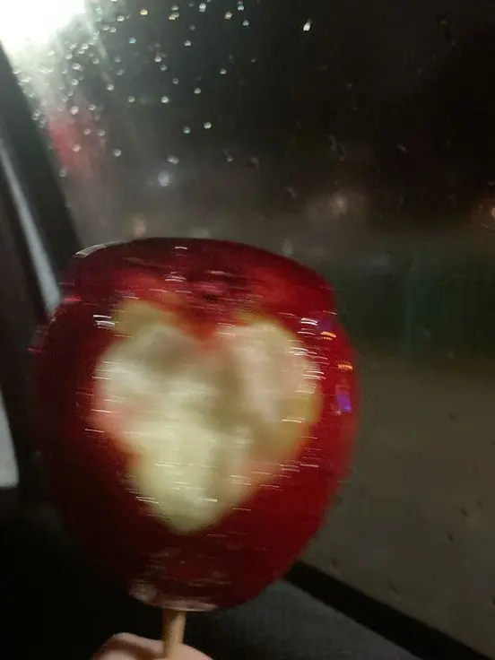 JaggedArrow5960의 계약연애.