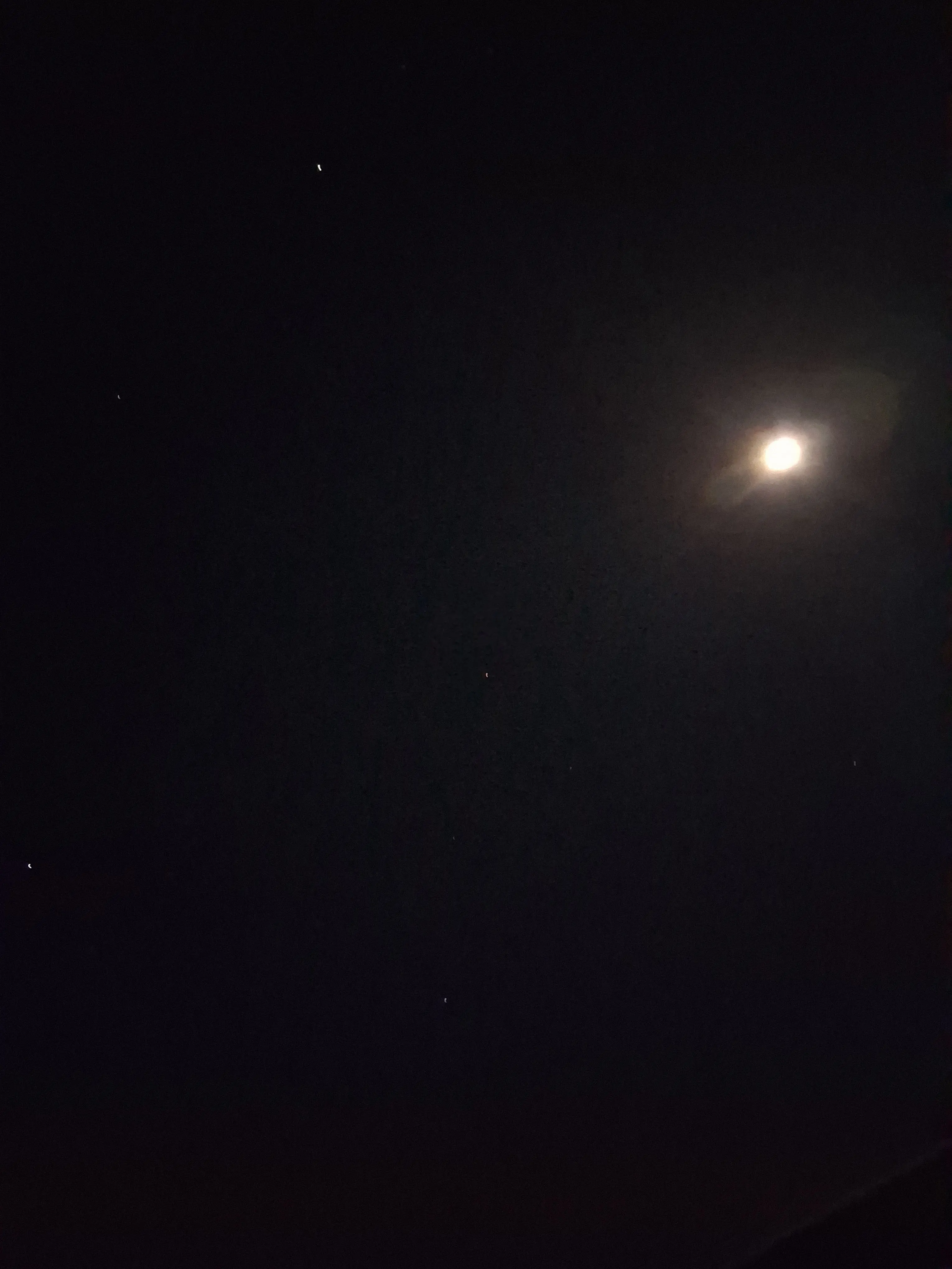 LemonyTabla1666의 둘뿐인 교실