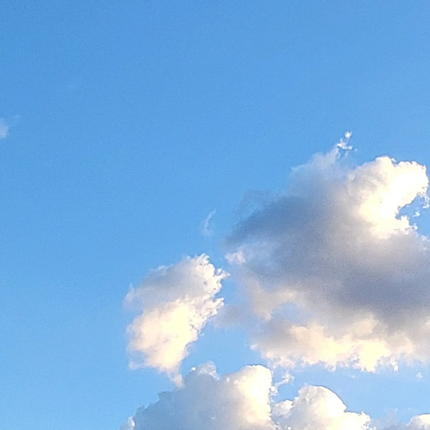 SassyPants0448의 수이웃🐳🐰🦕🦈🐶⭐️