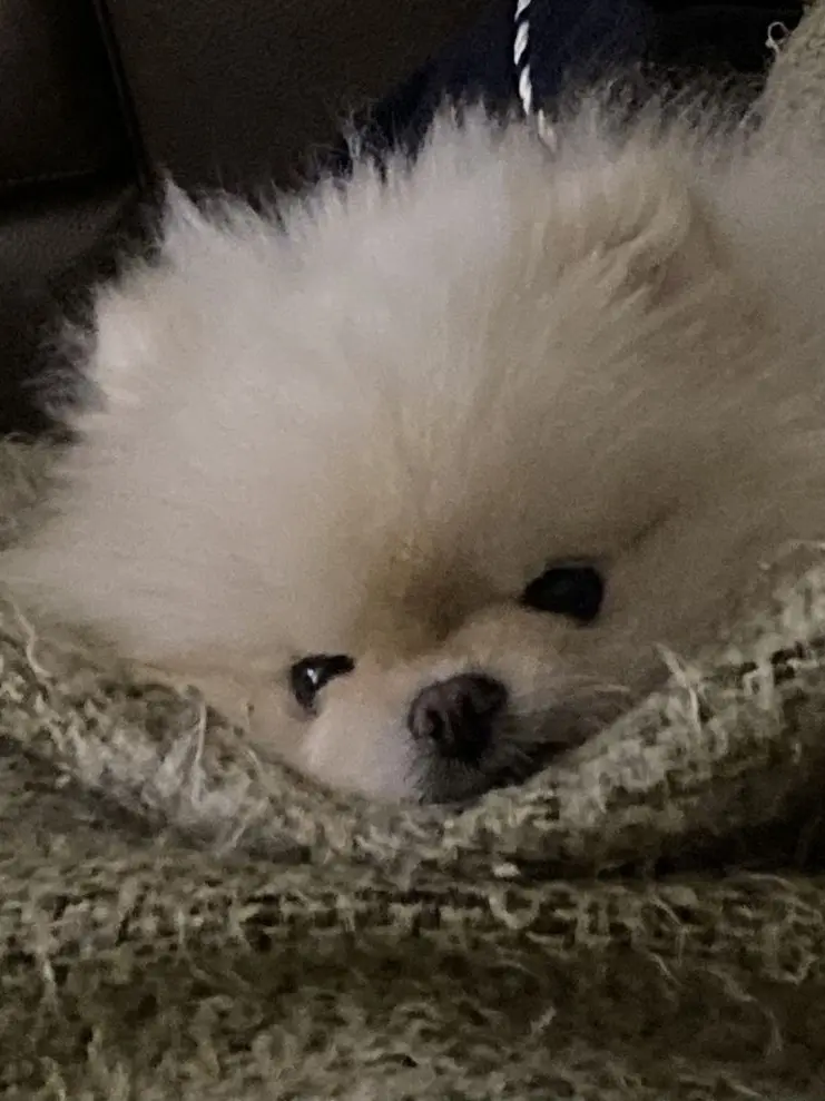 .....ux의 キス魔