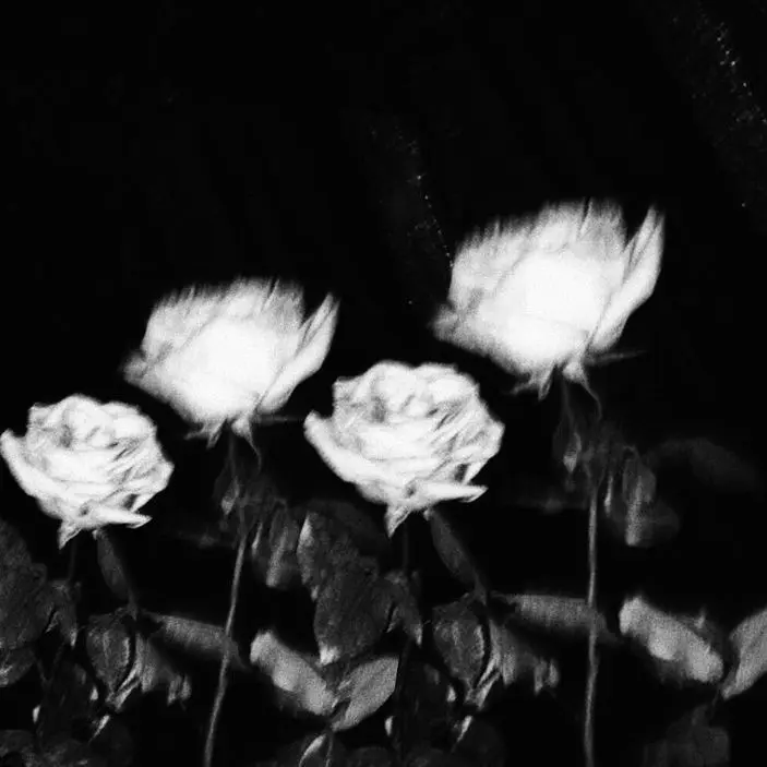 RawStew0879의 …余命宣告と医者から言われた貴方