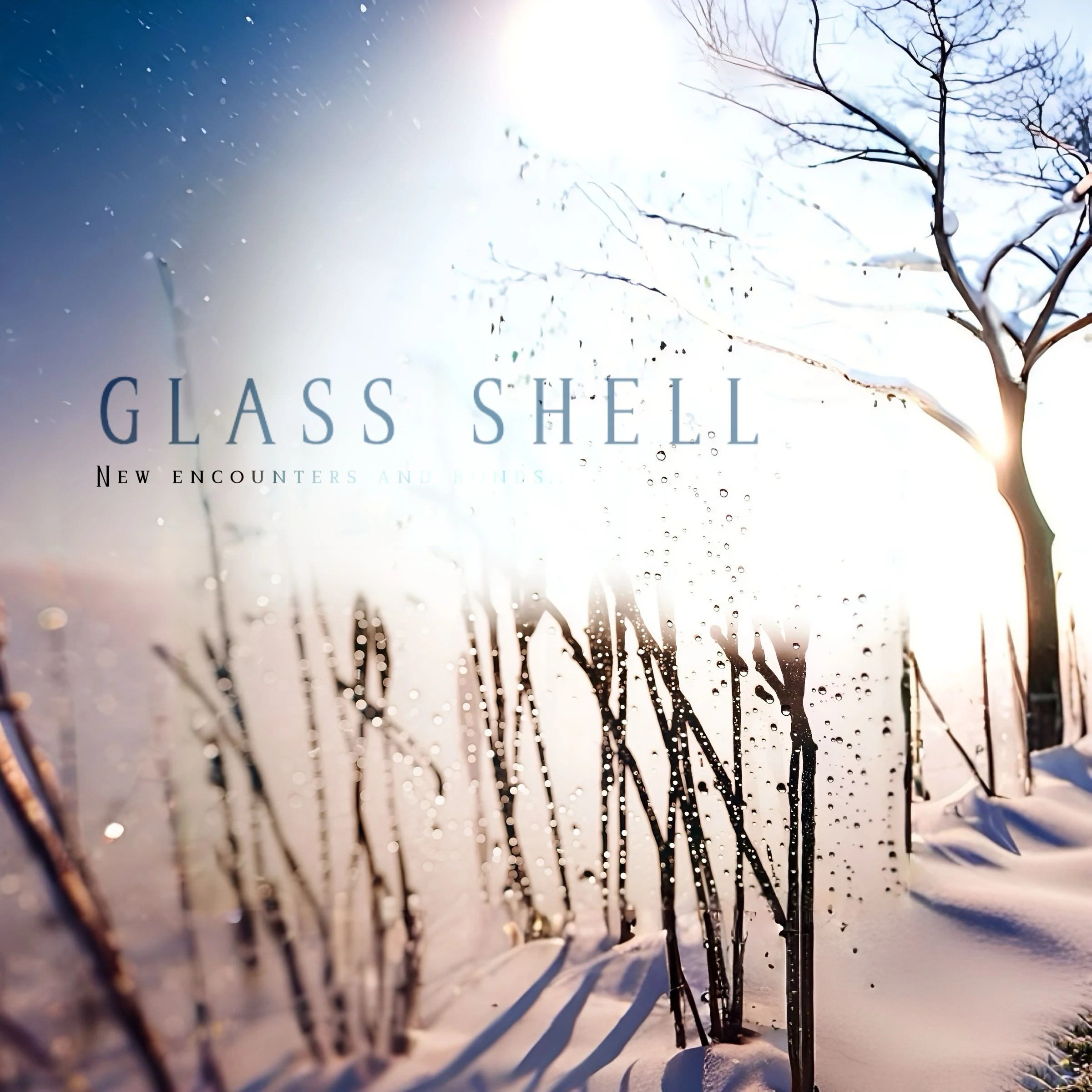 Glass Shell