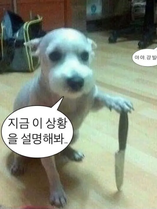 900sss의 괴수8호