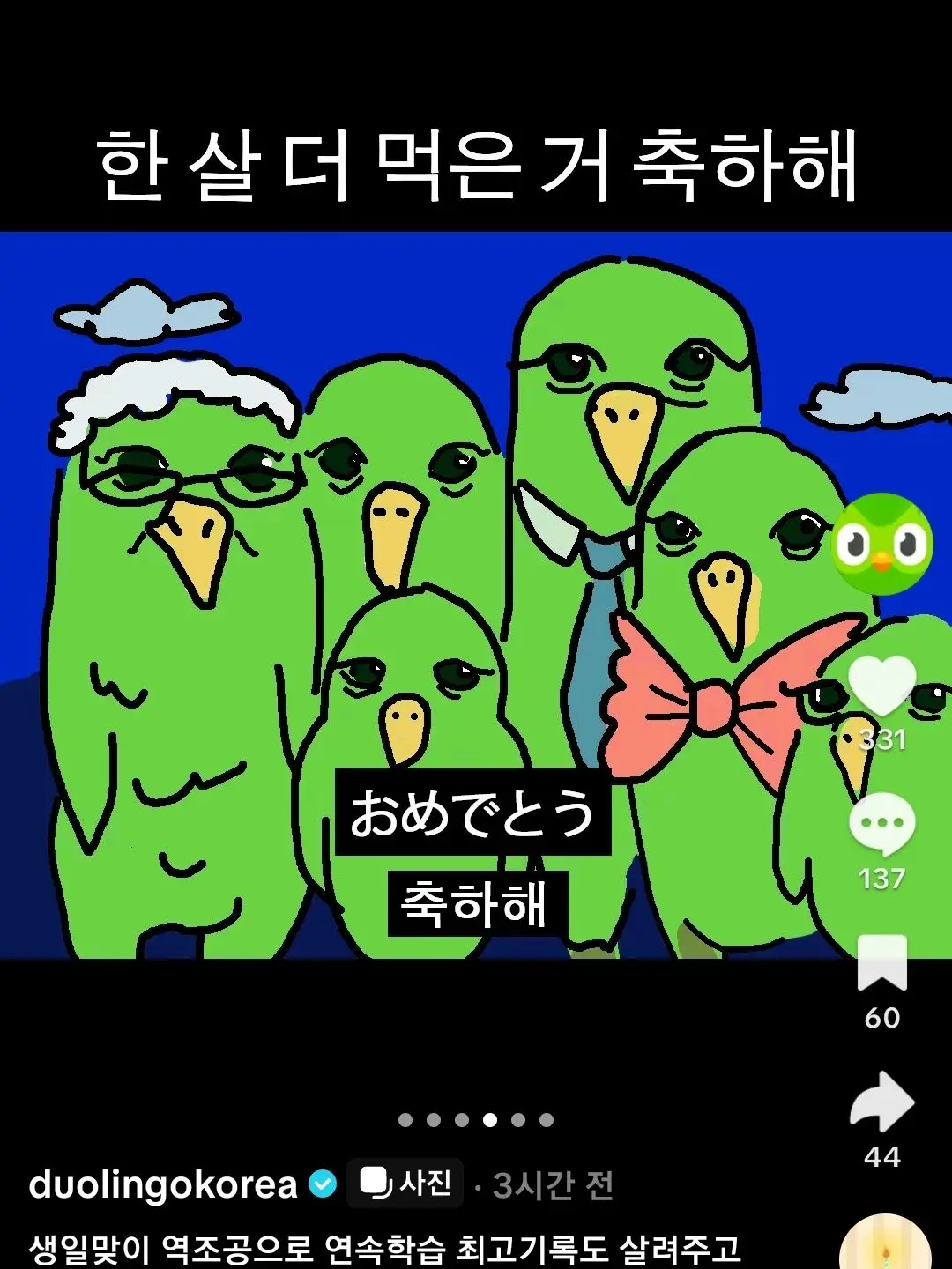 hate.duolingo의 듀오링고를 안한 당신