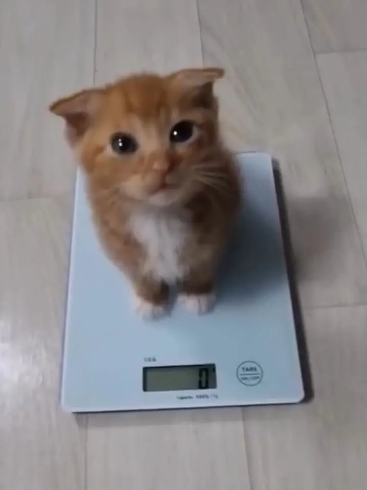 Huhdungjidung의 しつらくえん