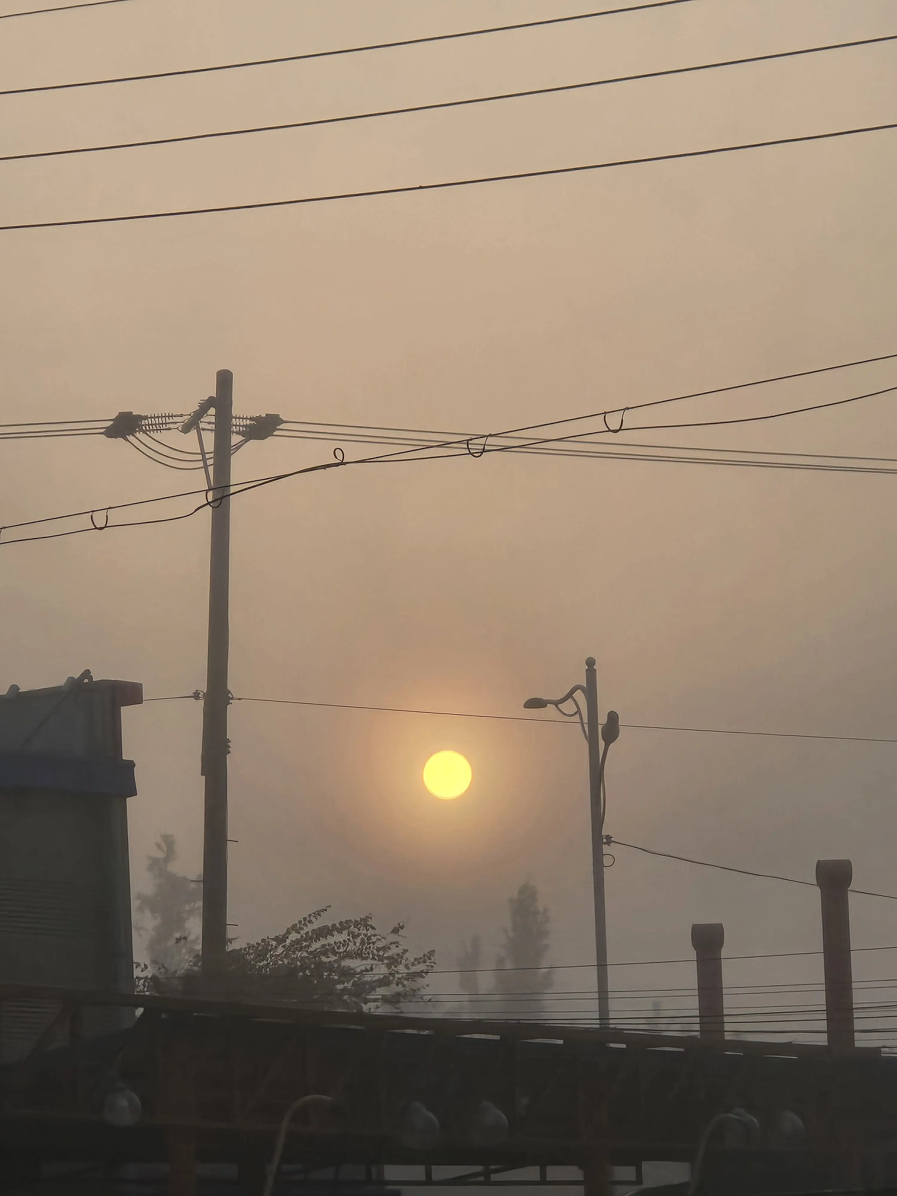 Shucho0826의 대저택 학교(여우짓하는 애가 있는)