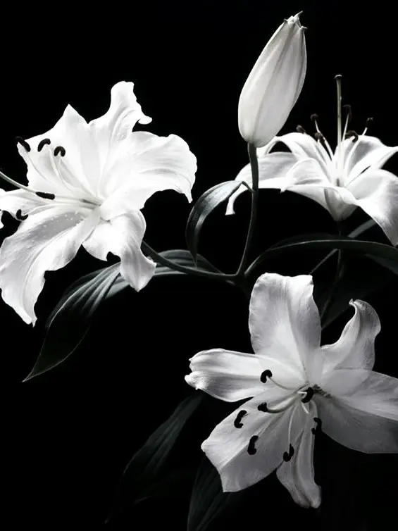 DKI의 그 성경책 좀 버려요.