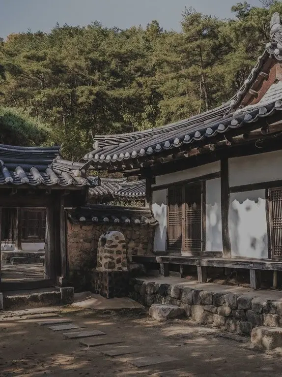 PaltryPolar9479의 당신은 목련꽃을 닮았습니다